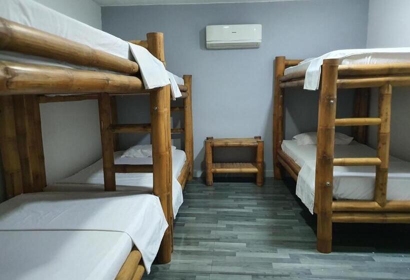 سرير فى غرفة مشتركه, Santiago Dc Hostal