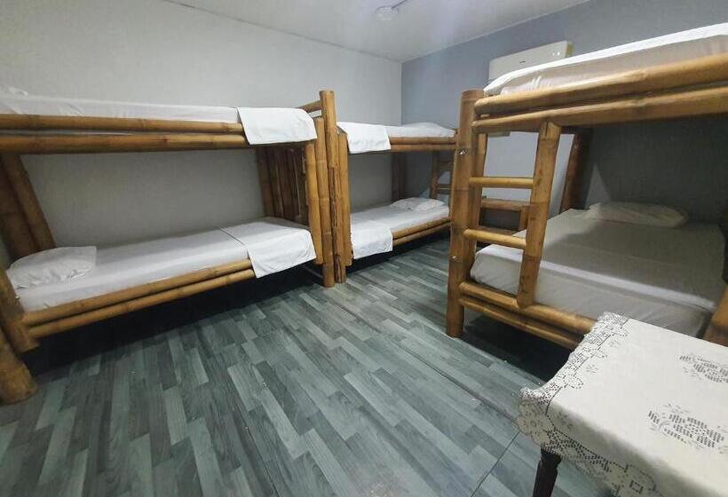 سرير فى غرفة مشتركه, Santiago Dc Hostal