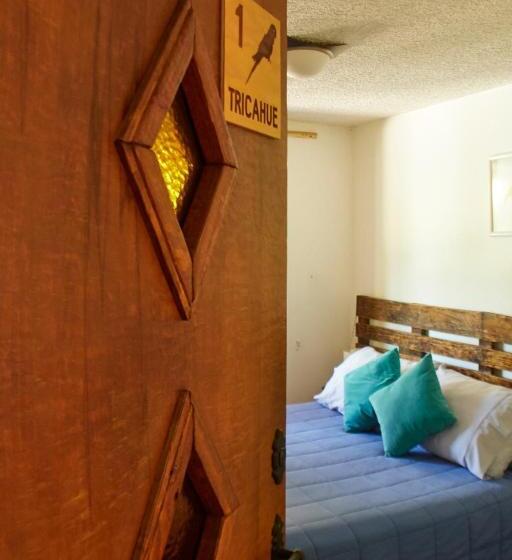 اتاق استاندارد با سرویس بهداشتی مشترک, Hostal Aldea Colchagua Experience