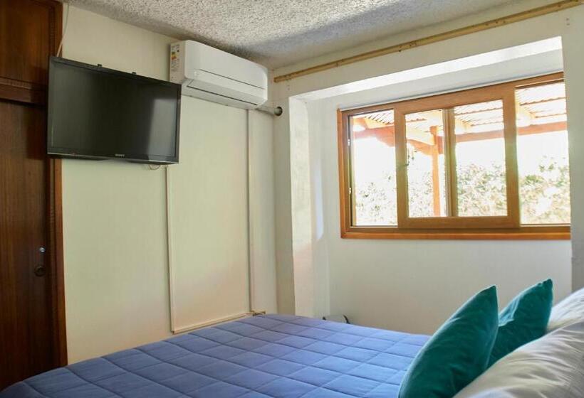 اتاق استاندارد با سرویس بهداشتی مشترک, Hostal Aldea Colchagua Experience