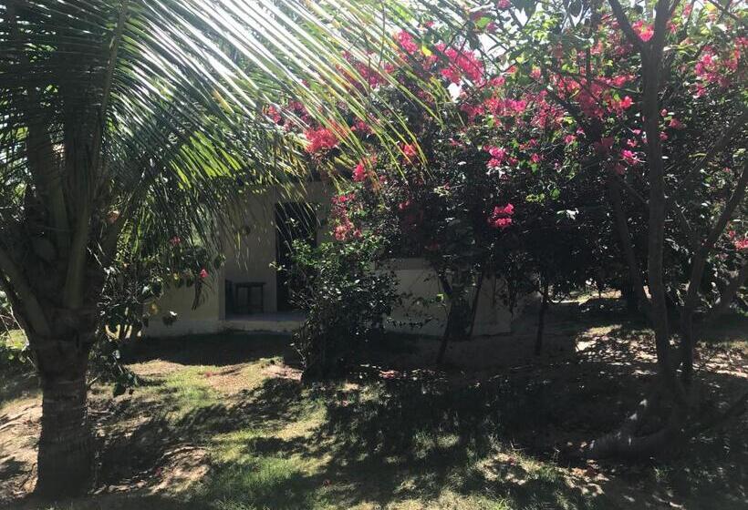 غرفة كلاسيكية رباعية, Pousada Malea