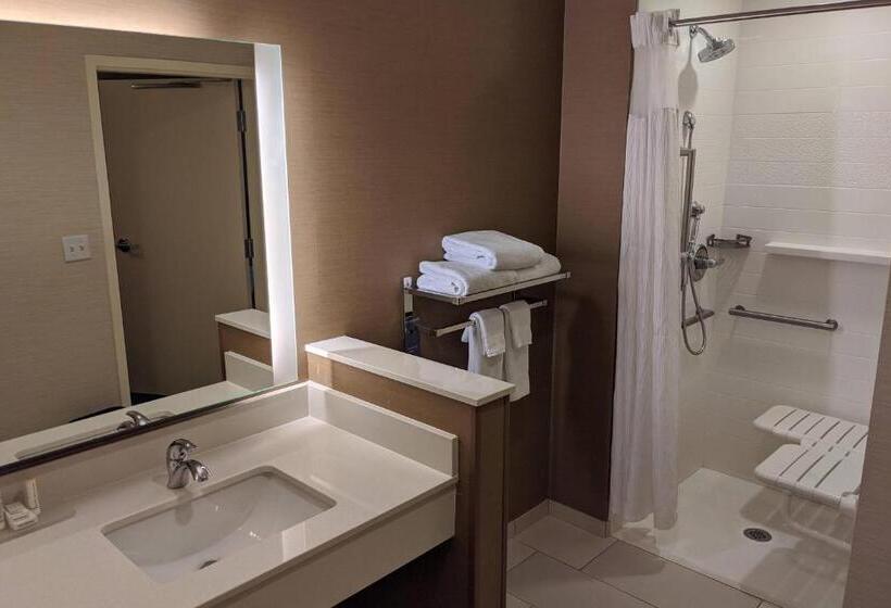 اتاق استاندارد با تخت بزرگ, Fairfield Inn & Suites By Marriott Phoenix Tempe/airport