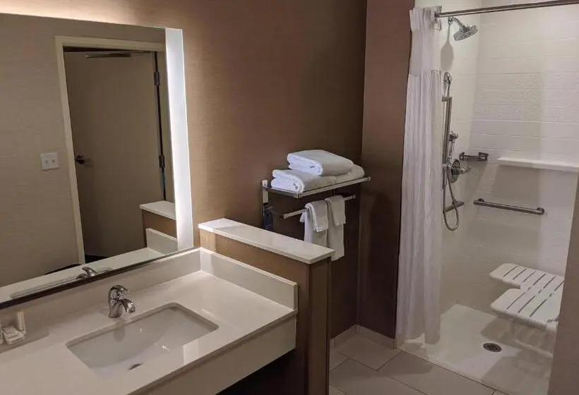 キングサイズベッドのスタンダードルーム, Fairfield Inn & Suites By Marriott Phoenix Tempe/airport