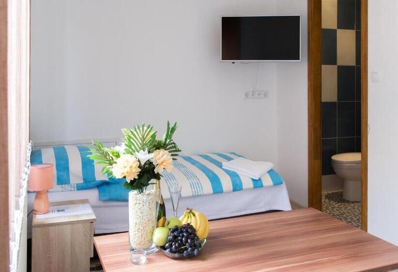 اتاق استاندارد یک نفره, Guesthouse Vila Puzic