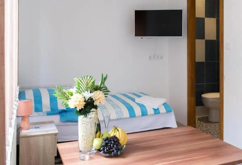 اتاق استاندارد یک نفره, Guesthouse Vila Puzic