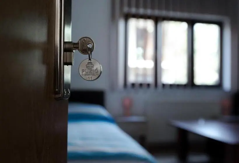اتاق استاندارد سه تخته با سرویس بهداشتی مشترک, Guesthouse Vila Puzic