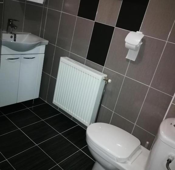 اتاق استاندارد سه تخته با سرویس بهداشتی مشترک, Guesthouse Vila Puzic