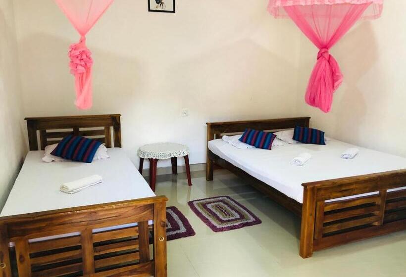 Economy Triple Room, Kumari Guest House