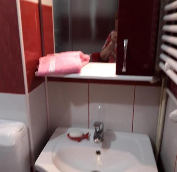 スタンダードルーム, Vila Cu Flori