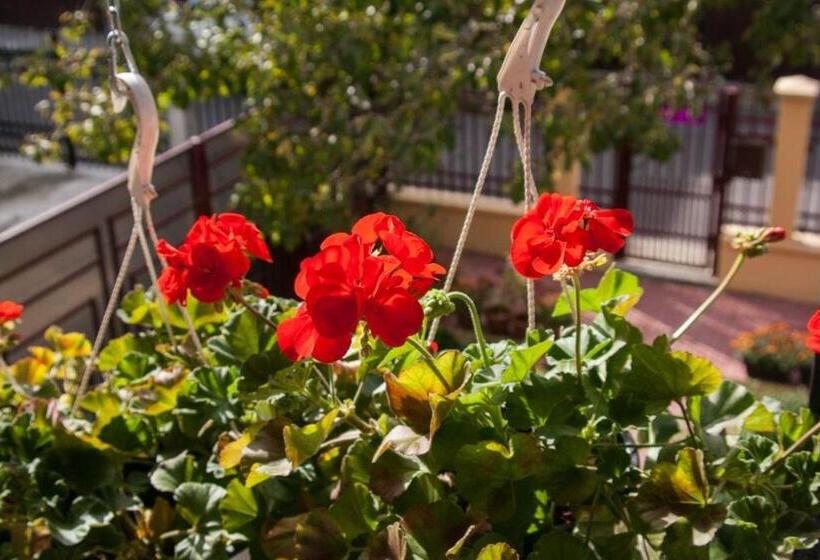 スタンダードルーム, Vila Cu Flori