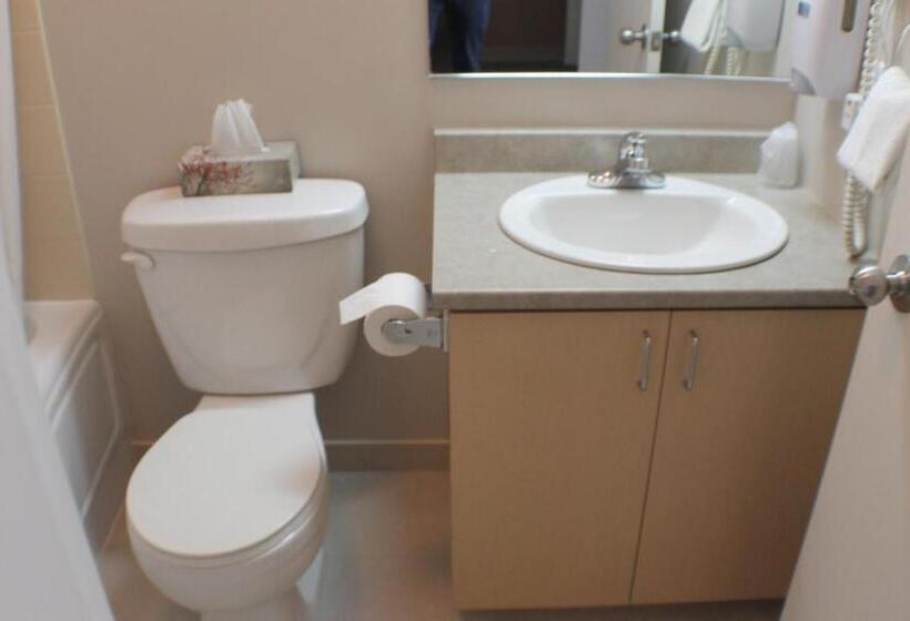 غرفة قياسية مطلة على الجبل, Auberge   Village Grande Nature Chic Chocs