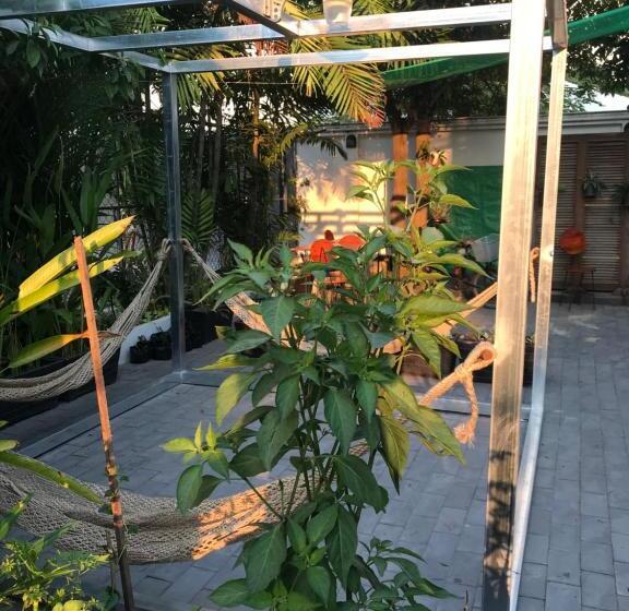 침실 4개 주택, Siem Reap Homesteading