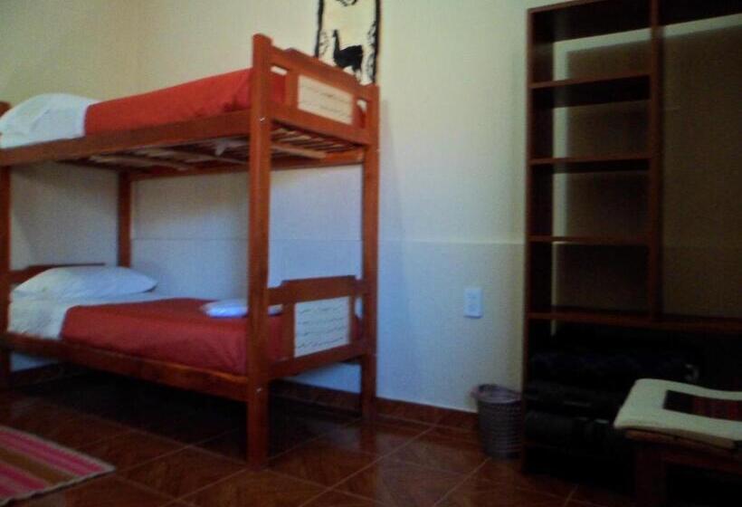 Четырехместный Номер Стандарт, El Cardon Hospedaje