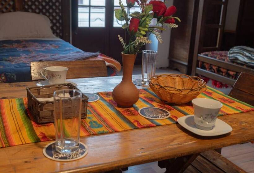 اتاق استاندارد سه نفره, Imaynalla