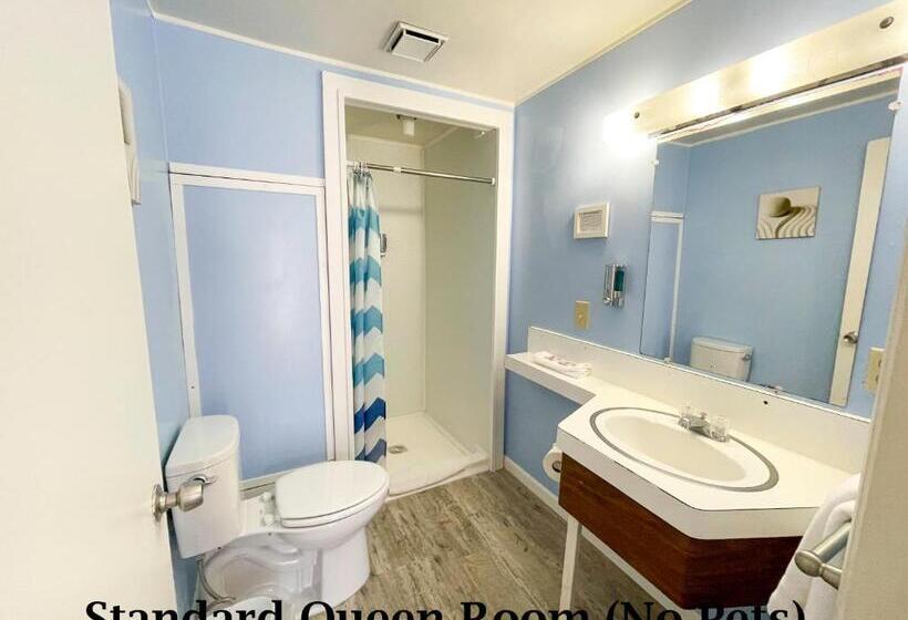 חדר סטנדרט, The Anchorage Motel