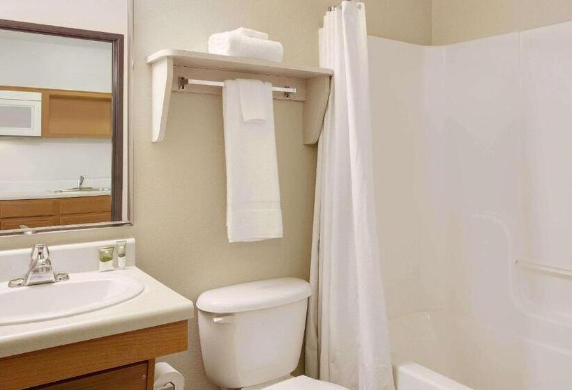 带2个双人床的标准工作室, Woodspring Suites Richmond West I 64