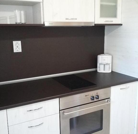 آپارتمان 1 خوابه با بالکن, Guest House Adriya