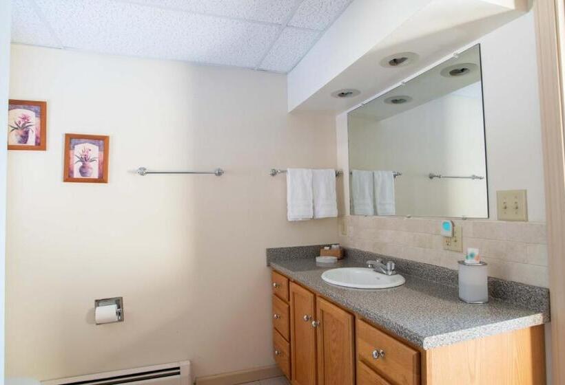 Люкс Повышенной Комфортности, Swift River Suites