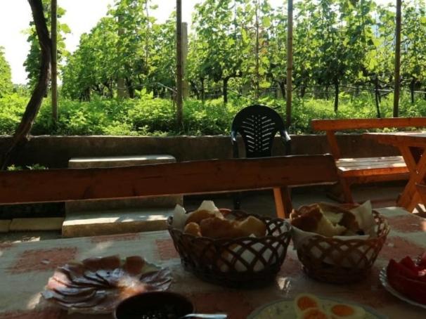 اتاق استاندارد چهار تخته, Vržina Farm House Skadar Lake