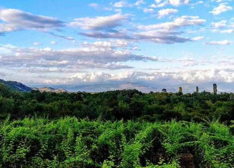 اتاق استاندارد چهار تخته, Vržina Farm House Skadar Lake