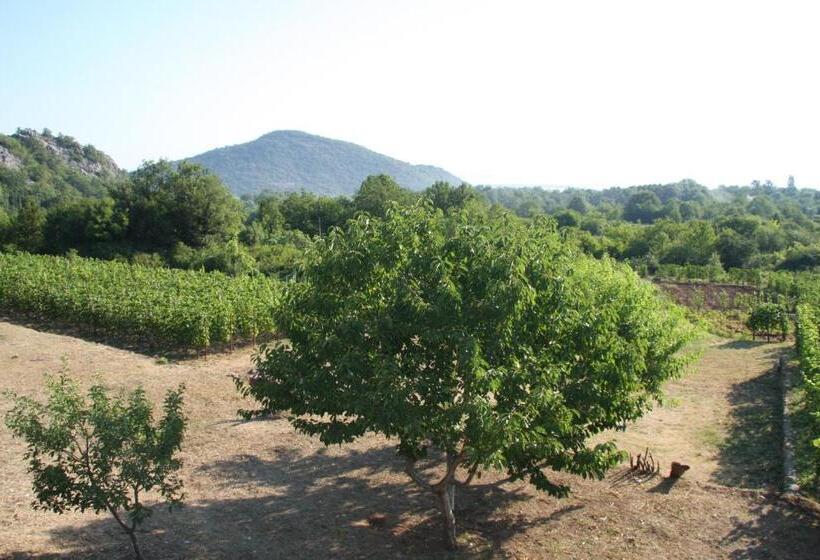 اتاق استاندارد, Vržina Farm House Skadar Lake