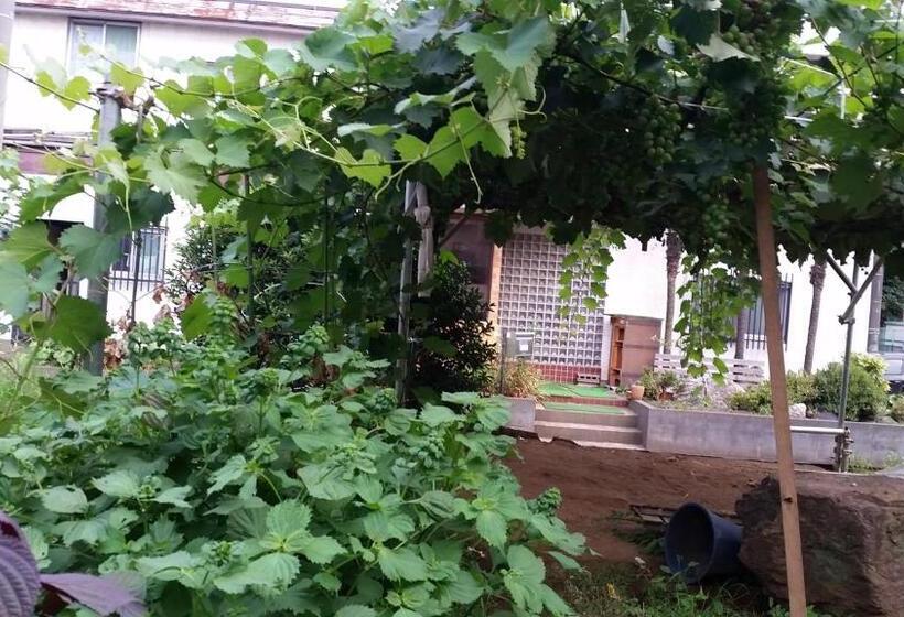 غرفة إقتصادية رباعية, Cherry House Is Direct To Narita,haneda Ap, Disney, Asakusa, Skytree Tower, Tokyo