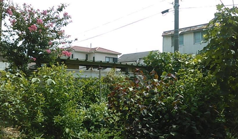 غرفة إقتصادية رباعية, Cherry House Is Direct To Narita,haneda Ap, Disney, Asakusa, Skytree Tower, Tokyo