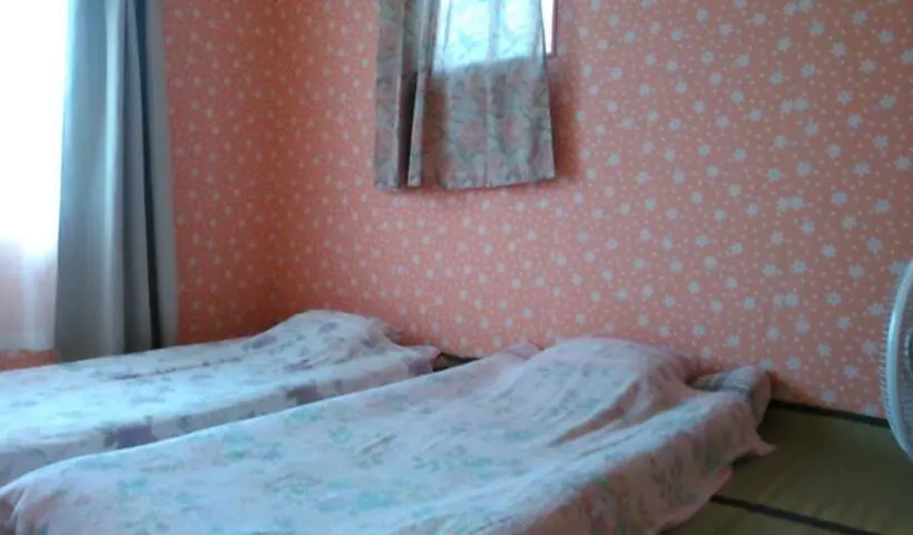 Talo 1 Makuuhuone, Cherry House Is Direct To Narita,haneda Ap, Disney, Asakusa, Skytree Tower, Tokyo