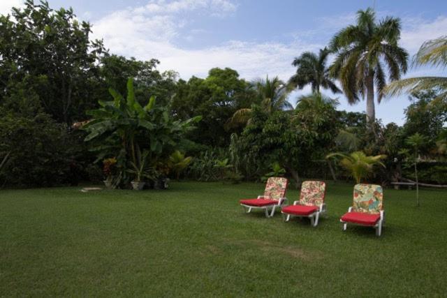 اتاق لوکس سه تخته, Lorenton Hideaway