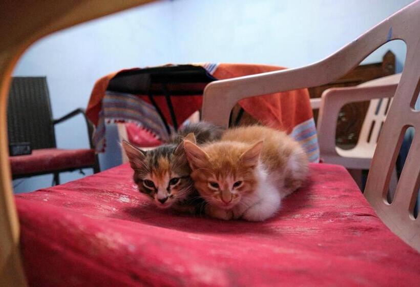 스탠다드 룸, Riad Nerja