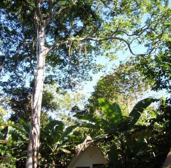 Трехместный Номер Базовый, Chalés Sítio Do Alemão