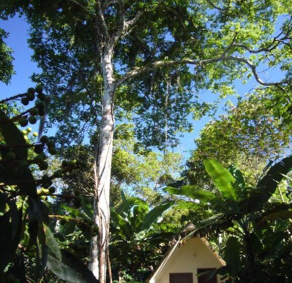 Трехместный Номер Базовый, Chalés Sítio Do Alemão