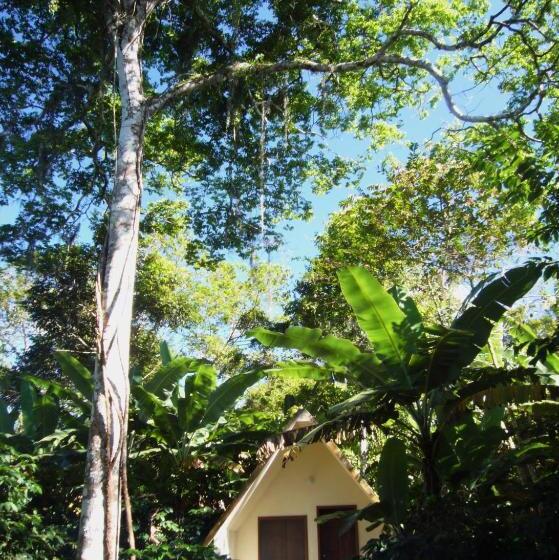 Трехместный Номер Базовый, Chalés Sítio Do Alemão