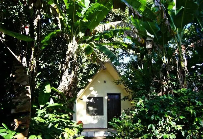 ファミリールーム, Chalés Sítio Do Alemão