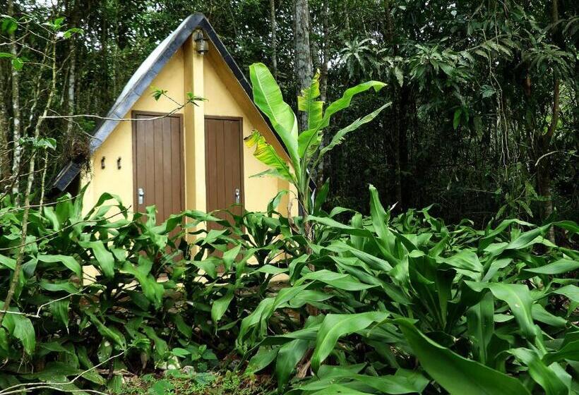Standard room with outdoor bath, Chalés Sítio Do Alemão