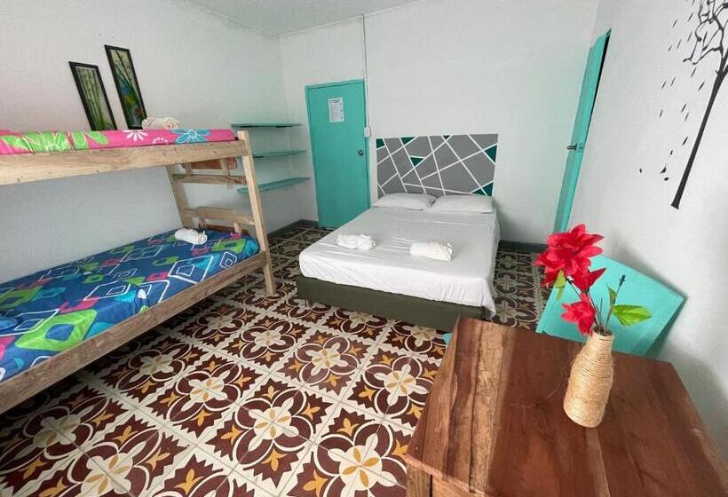 חדר סטנדרט לארבעה, Costa De Vikingos