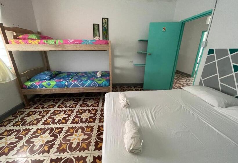 חדר סטנדרט לארבעה, Costa De Vikingos