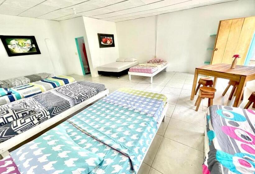 חדר משפחתי, Costa De Vikingos