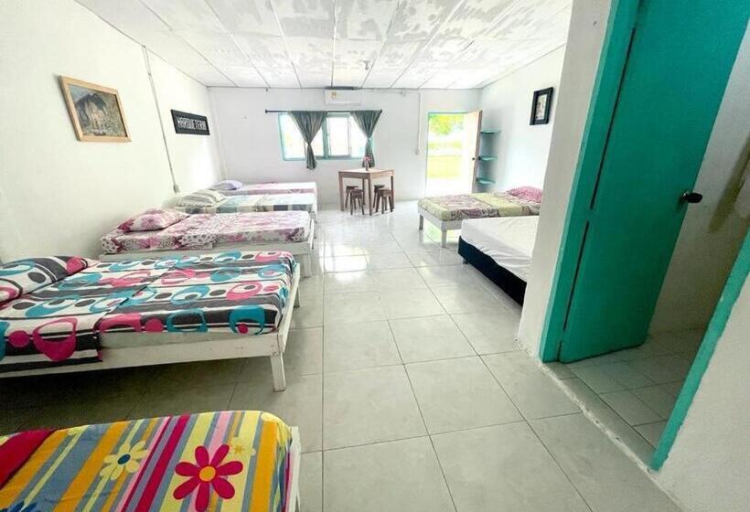 חדר משפחתי, Costa De Vikingos