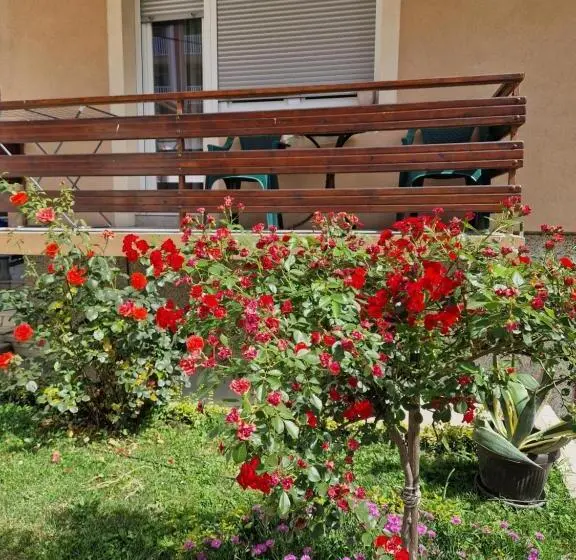 آپارتمان 1 خوابه, Guesthouse Irac