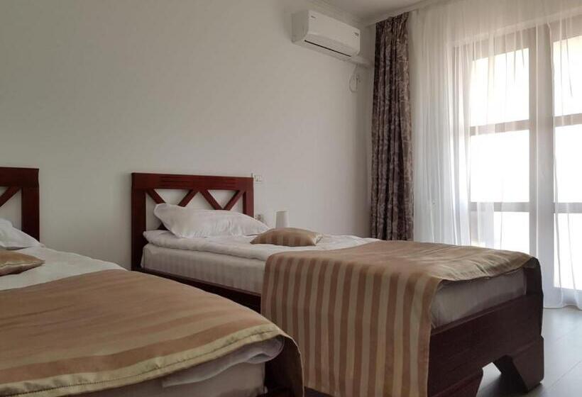 Номер Стандарт Вид на Бассейн, Pensiunea Coralia