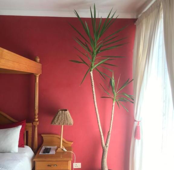 Superior Familiekamer, Birrea Guest House