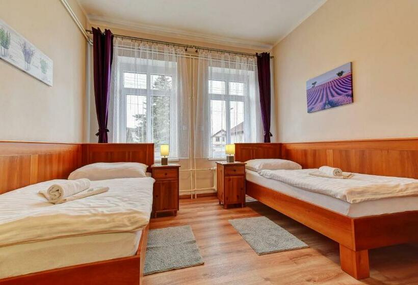 Номер Deluxe, Penzion Pod Radyni
