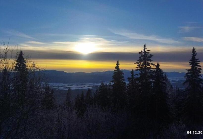 חדר סטנדרטי לארבעה עם חדר אמבטיה משותף, Lucky Cat