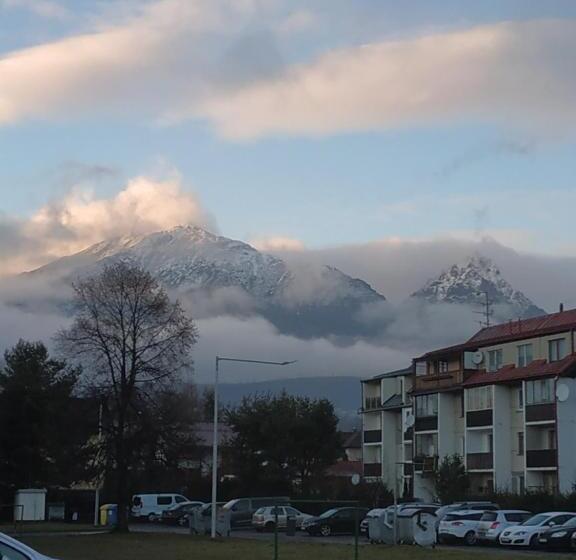 בית, חדר שינה 1, Lucky Cat