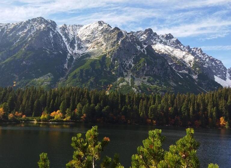 חדר משפחתי, Lucky Cat