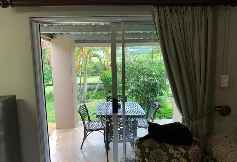 شقة غرفة واحدة مطلة على الحديقة, Jelani Guest House