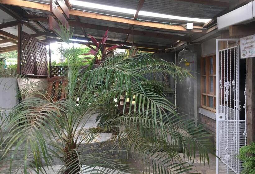 اتاق اکونومی یک تخته, Murph's Surf Shacks