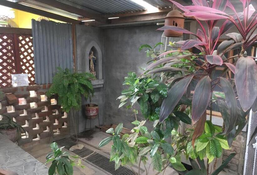 اتاق اکونومی یک تخته, Murph's Surf Shacks