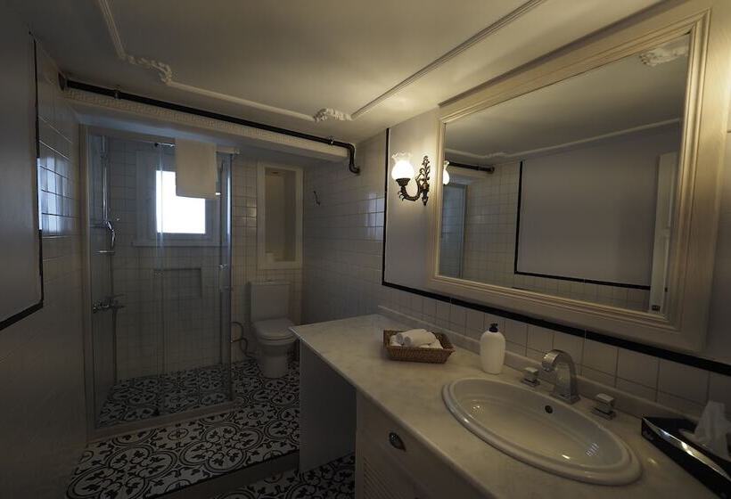 آپارتمان سوپریور 1 خوابه با چشم‌انداز دریا, Buyuk Konak Izmir